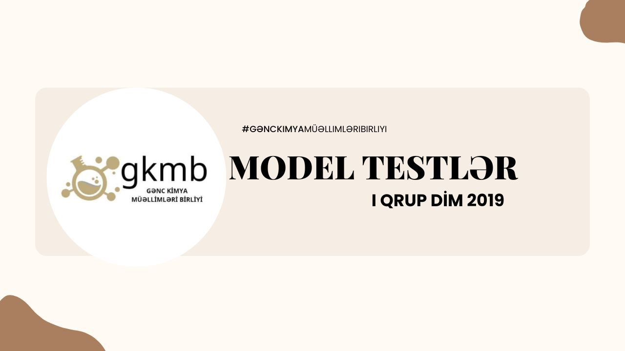 2019 DİM MODEL TEST  I QRUP
